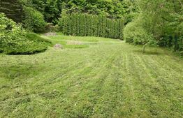Casă de Vacanță pe Valea Ighielului – 3 camere, 2500 mp curte