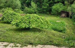 Casă de Vacanță pe Valea Ighielului – 3 camere, 2500 mp curte