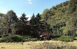 Casă de Vacanță pe Valea Ighielului – 3 camere, 2500 mp curte