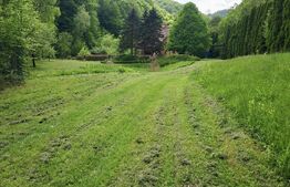 Casă de Vacanță pe Valea Ighielului – 3 camere, 2500 mp curte