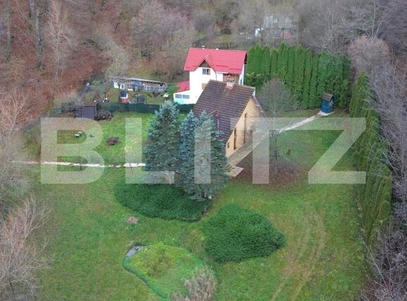 Casa de vânzare 3 camere Ighiu - 169326CV | BLITZ Alba Iulia | Poza21