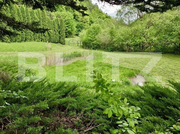 Casa de vânzare 3 camere Ighiu - 169326CV | BLITZ Alba Iulia | Poza12