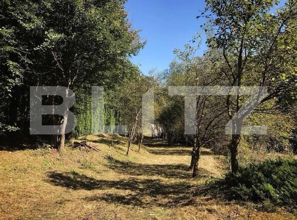 Casa de vânzare 3 camere Ighiu - 169326CV | BLITZ Alba Iulia | Poza9