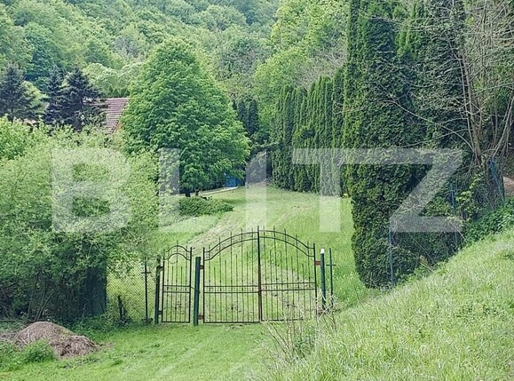 Casa de vânzare 3 camere Ighiu - 169326CV | BLITZ Alba Iulia | Poza16