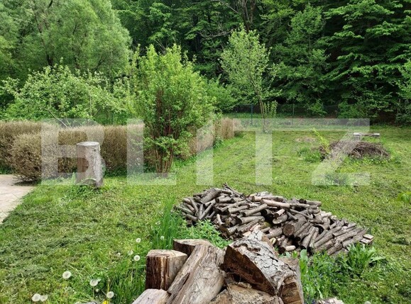 Casa de vânzare 3 camere Ighiu - 169326CV | BLITZ Alba Iulia | Poza21