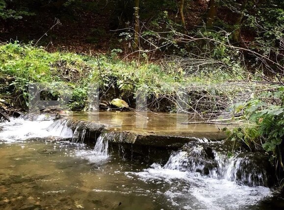 Casa de vânzare 3 camere Ighiu - 169326CV | BLITZ Alba Iulia | Poza2