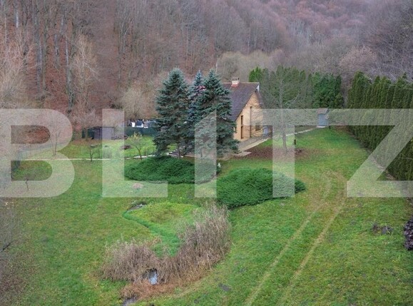 Casa de vânzare 3 camere Ighiu - 169326CV | BLITZ Alba Iulia | Poza1