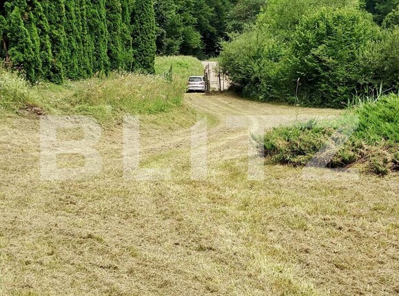 Casa de vânzare 3 camere Ighiu - 169326CV | BLITZ Alba Iulia | Poza18