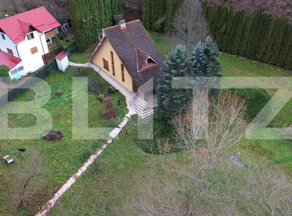 Casa de vânzare 3 camere Ighiu - 169326CV | BLITZ Alba Iulia | Poza14