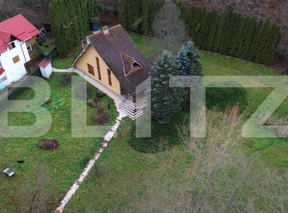 Casa de vânzare 3 camere Ighiu - 169326CV | BLITZ Alba Iulia | Poza18