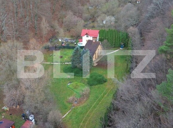 Casa de vânzare 3 camere Ighiu - 169326CV | BLITZ Alba Iulia | Poza13