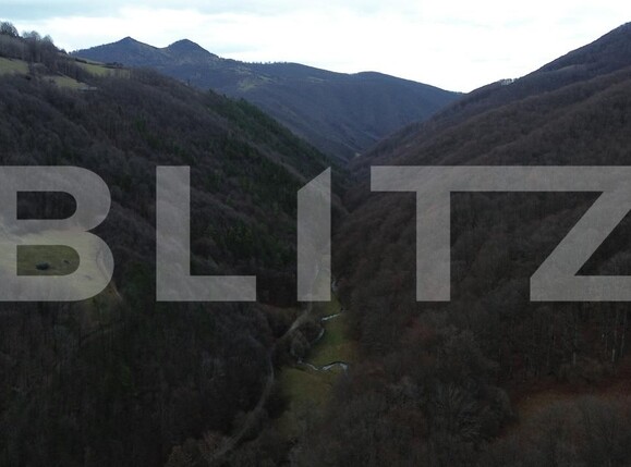 Casa de vânzare 3 camere Ighiu - 169326CV | BLITZ Alba Iulia | Poza16