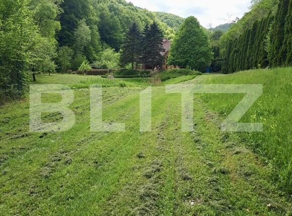 Casa de vânzare 3 camere Ighiu - 169326CV | BLITZ Alba Iulia | Poza7