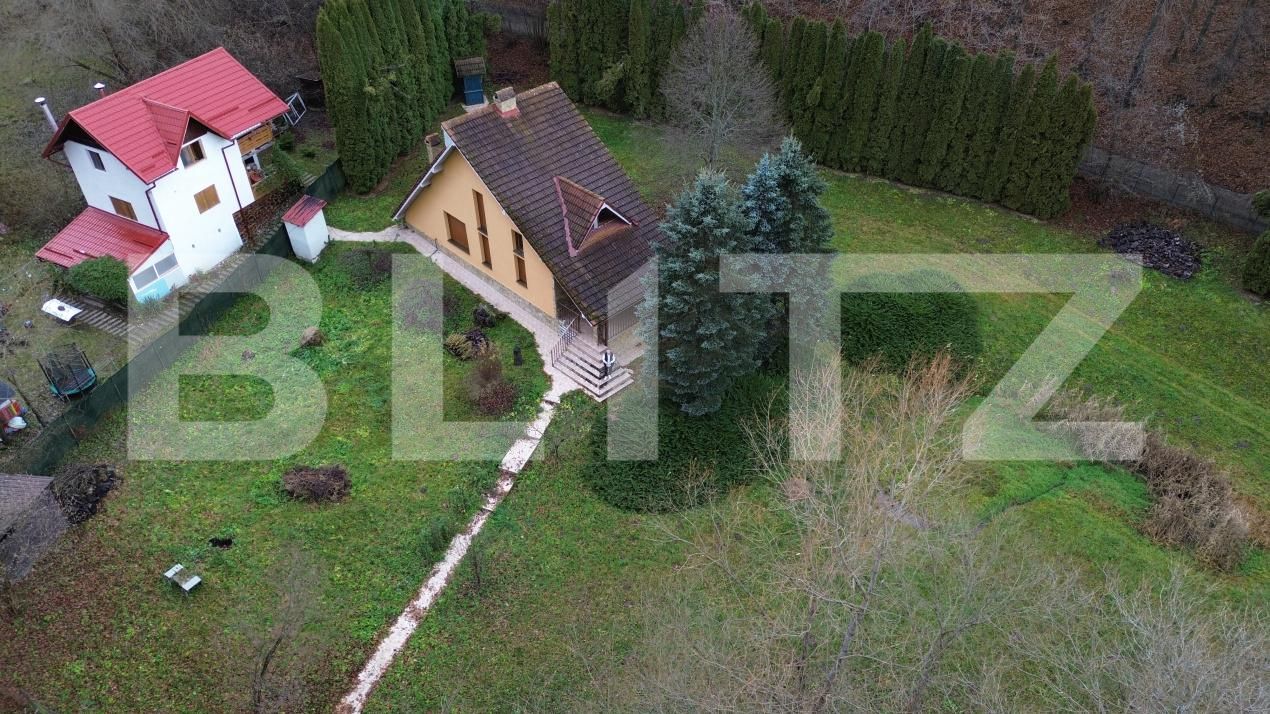 Casa de vânzare 3 camere Ighiu - 169326CV | BLITZ Alba Iulia | Poza20