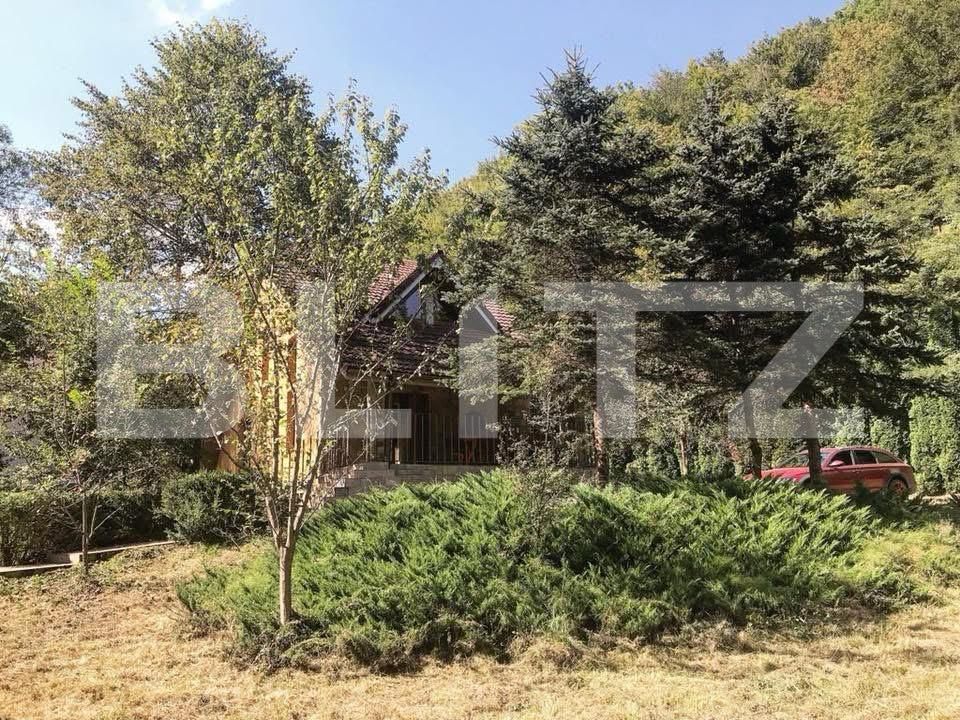 Casa de vânzare 3 camere Ighiu - 169326CV | BLITZ Alba Iulia | Poza4