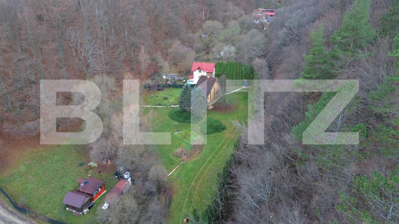 Casa de vânzare 3 camere Ighiu - 169326CV | BLITZ Alba Iulia | Poza19