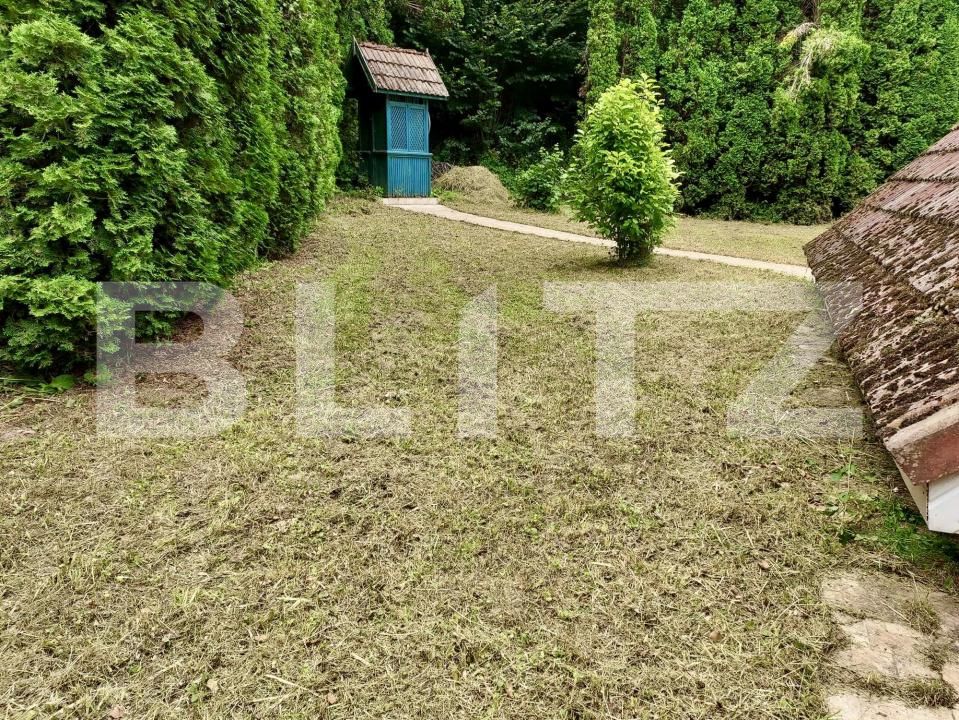 Casa de vânzare 3 camere Ighiu - 169326CV | BLITZ Alba Iulia | Poza19