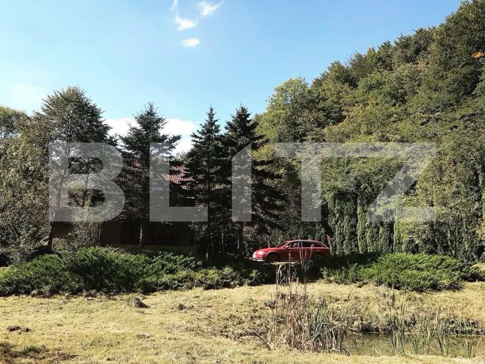 Casa de vânzare 3 camere Ighiu - 169326CV | BLITZ Alba Iulia | Poza5