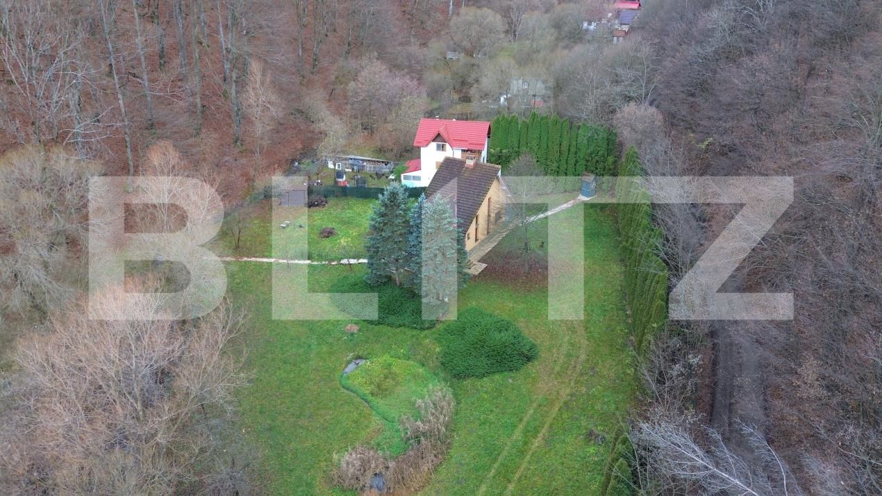 Casa de vânzare 3 camere Ighiu - 169326CV | BLITZ Alba Iulia | Poza21