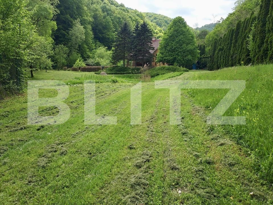 Casa de vânzare 3 camere Ighiu - 169326CV | BLITZ Alba Iulia | Poza7