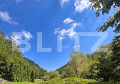 Casa de vânzare 3 camere Ighiu - 169326CV | BLITZ Alba Iulia | Poza11