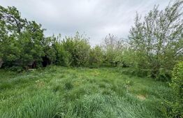 Casa individuala cu 3 camere,110 mp utili, 1000 mp teren,Blaj