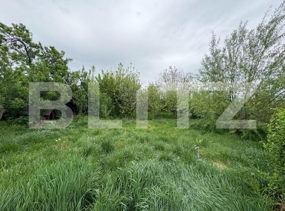 Casa de vânzare 2 camere Blaj - 169479CV | BLITZ Alba Iulia | Poza7