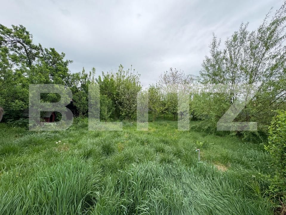 Casa de vânzare 2 camere Blaj - 169479CV | BLITZ Alba Iulia | Poza7