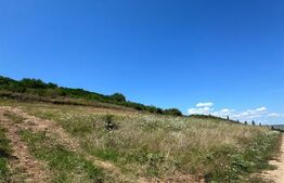 Teren intravilan 747 mp, zona Cetate, cu autorizatie de constructie