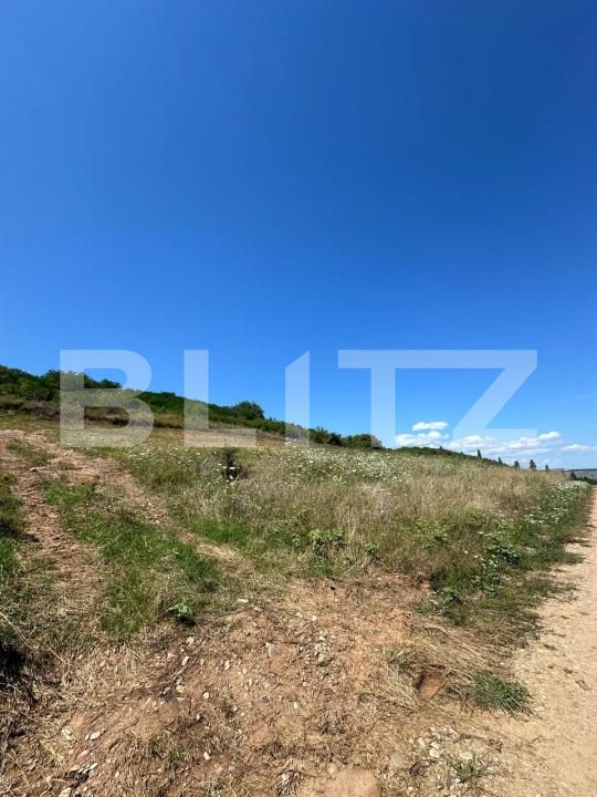 Teren de vânzare Cetate - 169519TV | BLITZ Alba Iulia | Poza2