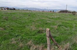 Teren intravilan,5500mp zona Sebes