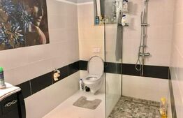 Casă de vânzare la cheie – Blaj – 226 mp utili, teren 915 mp