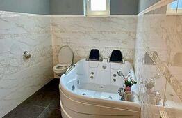 Casă de vânzare la cheie – Blaj – 226 mp utili, teren 915 mp