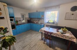 Casa individuala cu 4 camere, 160 mp utili,Sebes central