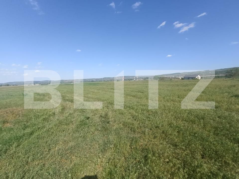 Teren de vânzare Partoș - 169902TV | BLITZ Alba Iulia | Poza2