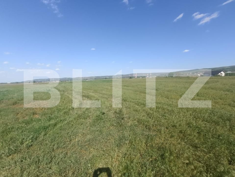 Teren de vânzare Partoș - 169902TV | BLITZ Alba Iulia | Poza1