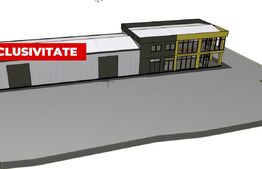 Cladire de birouri + 3 Hale, teren 4300 mp, Sebes