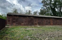 3 Hale + Cladire de birouri, teren 4300 mp, Sebes