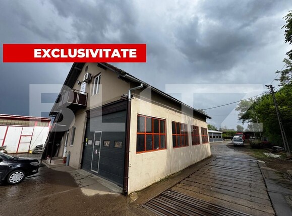 Spațiu industrial de vânzare Sebeș - 169919SVI | BLITZ Alba Iulia | Poza12