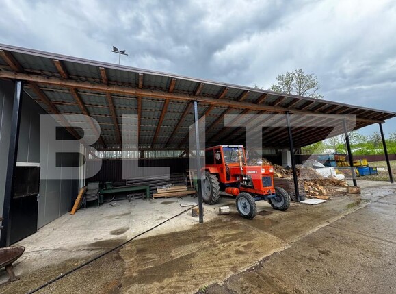 Spațiu industrial de vânzare Sebeș - 169919SVI | BLITZ Alba Iulia | Poza8