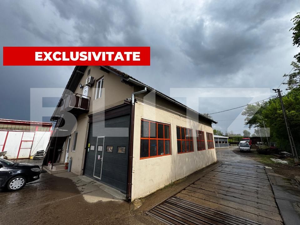 Spațiu industrial de vânzare Sebeș - 169919SVI | BLITZ Alba Iulia | Poza12