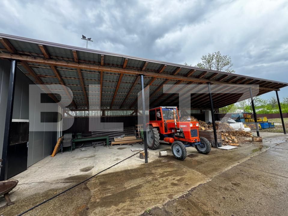 Spațiu industrial de vânzare Sebeș - 169919SVI | BLITZ Alba Iulia | Poza8