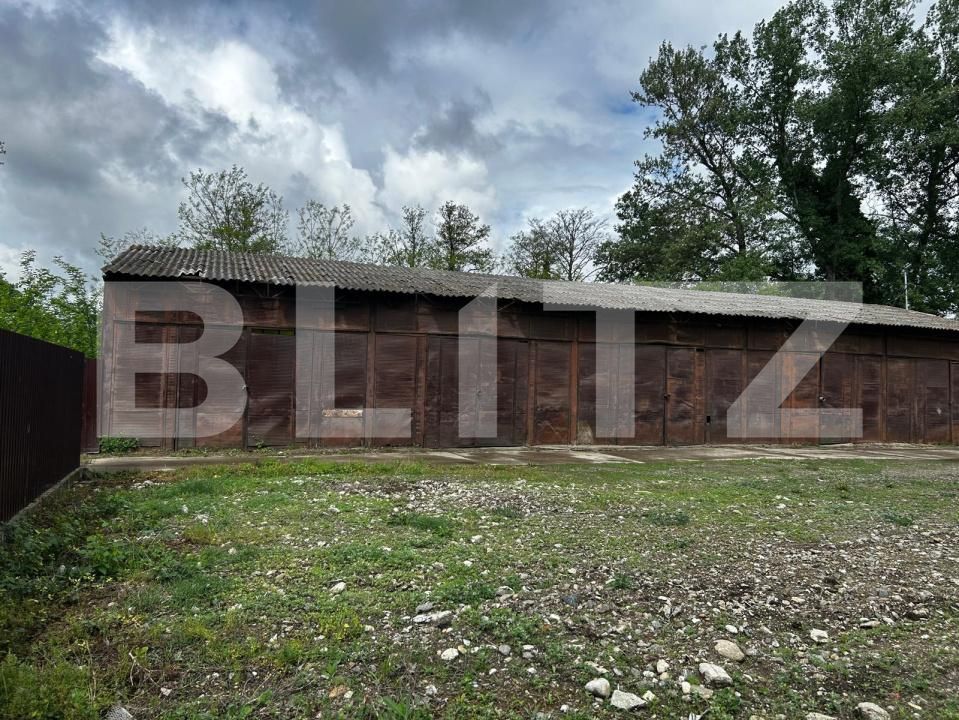 Spațiu industrial de vânzare Sebeș - 169919SVI | BLITZ Alba Iulia | Poza13