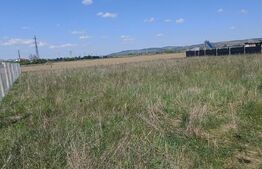 Teren intravilan 525 mp apa curent gaz la aprox. 50 m construibil cu fosa