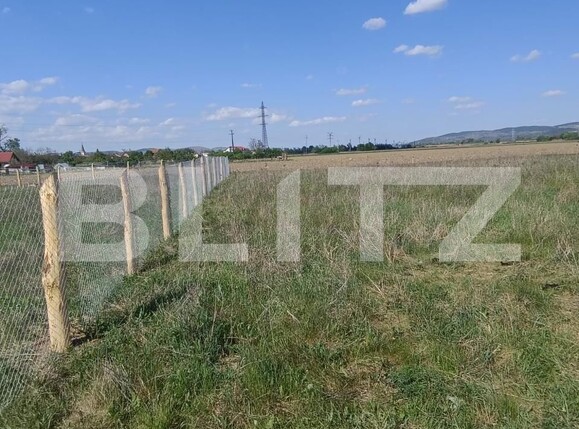 Teren de vânzare Sud - 169959TV | BLITZ Alba Iulia | Poza1