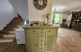 Casa individuala,cu 5 camere,200 mp utili,2750 mp teren,Vintu de jos