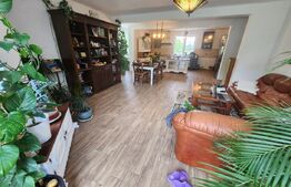 Casa individuala,cu 5 camere,200 mp utili,2750 mp teren,Vintu de jos