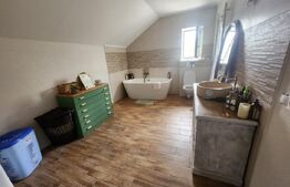 Casa individuala,cu 5 camere,200 mp utili,2750 mp teren,Vintu de jos