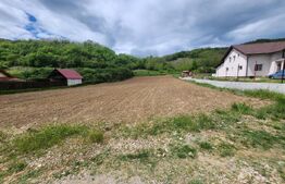 Teren intravilan,2700 mp,Vintu de jos