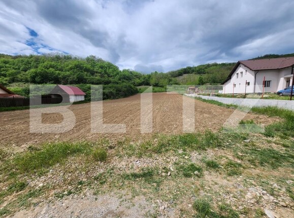 Teren de vânzare Vinţu de Jos - 170115TV | BLITZ Alba Iulia | Poza1